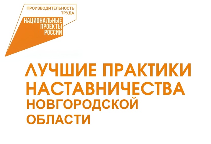 Итоги конкурса «Лучшие практики наставничества Новгородской области» 